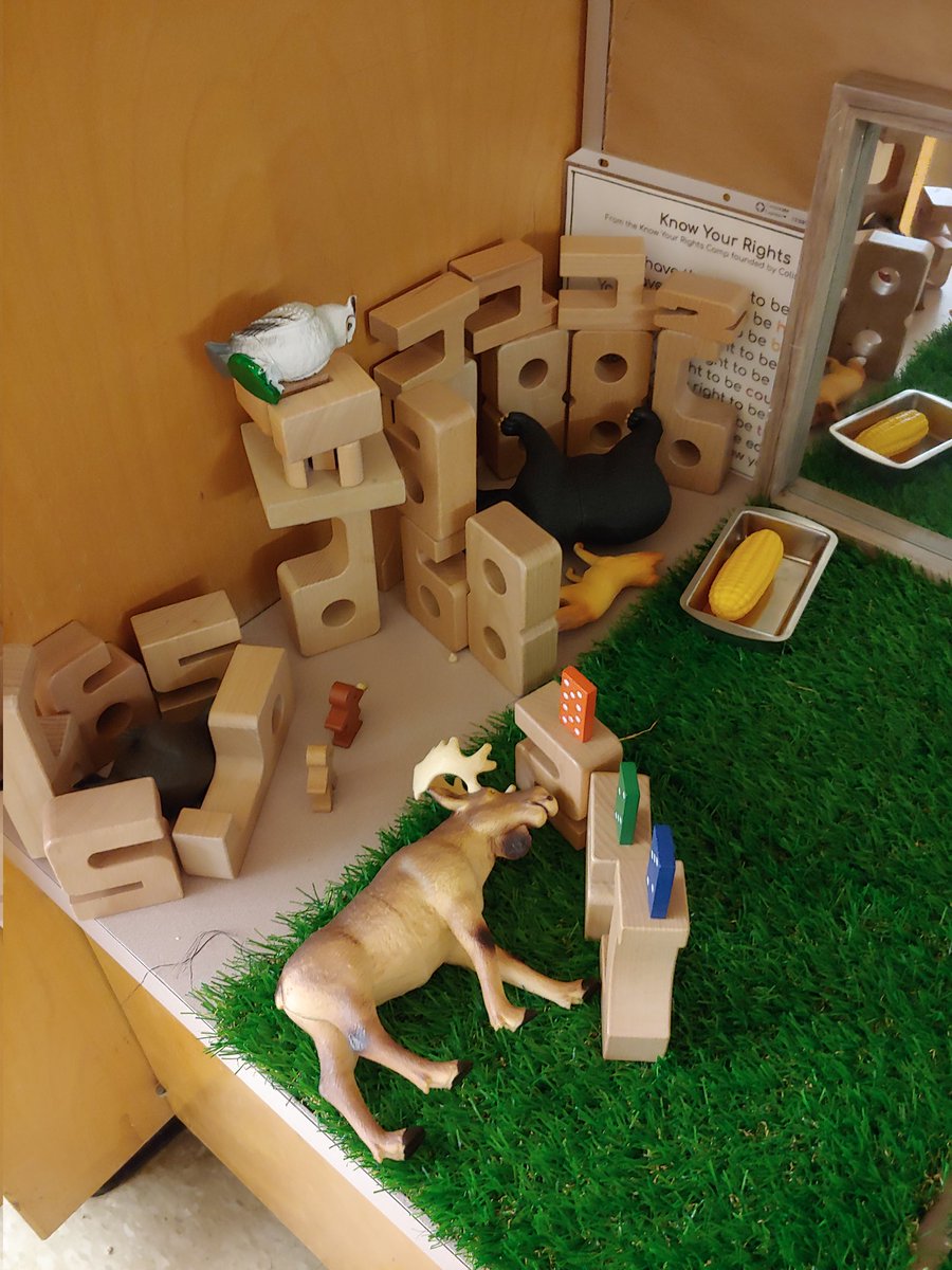 Ms Rutledge tweet media