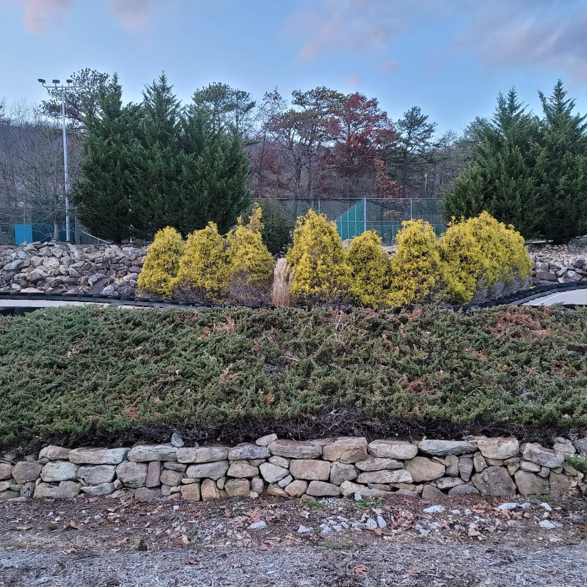 The stone wall at Go Karts has finally been uncovered, thanks for your hard work Eddie!

#Stonewall 
#StonewallTerrace
#GoKarts 
#Massanutten