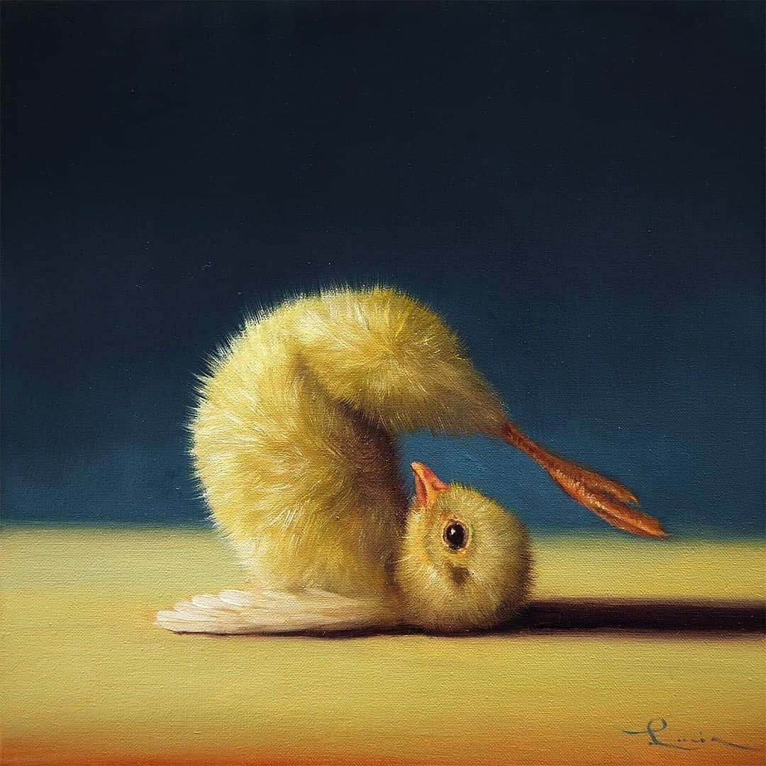 culturainquieta's tweet photo. «A yoga pose a day keeps the doctor away»

Pinturas de la serie «Pollitos yoguis» de la pintora estadounidense Lucia Heffernan. Su obra es una expresión y exploración de su fascinación por los animales. https://t.co/bTFOjifEeW