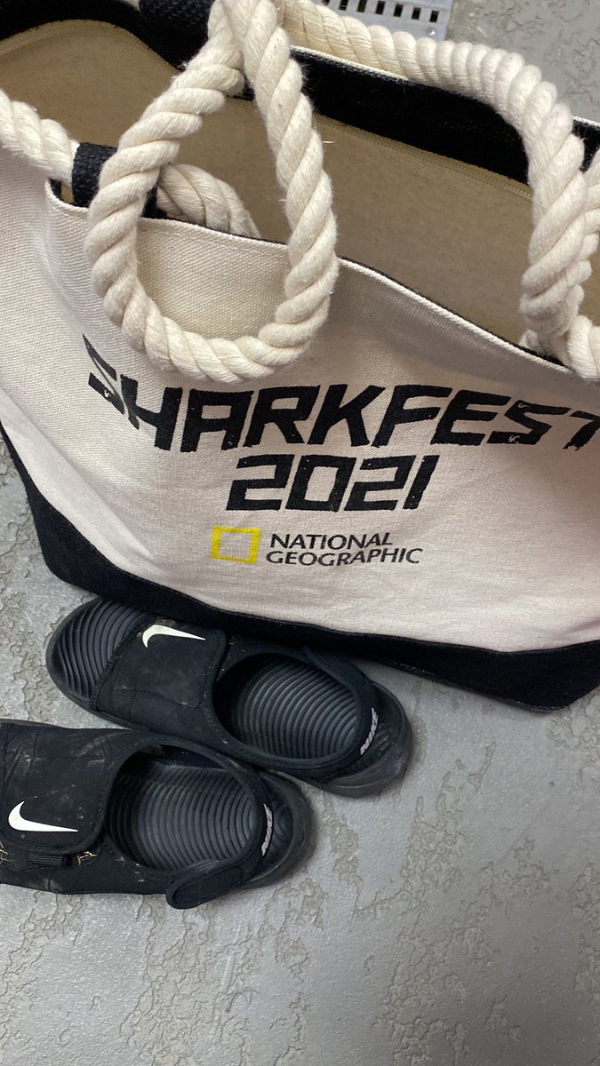 mikethemovieguy's tweet image. Waiting. 🏊‍♂️ #dadlife #firstgrader