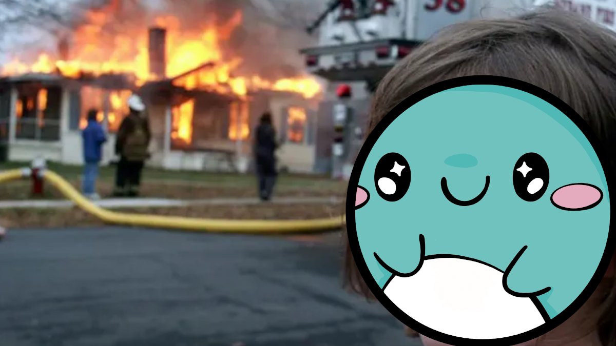 SafeWhale tweet media