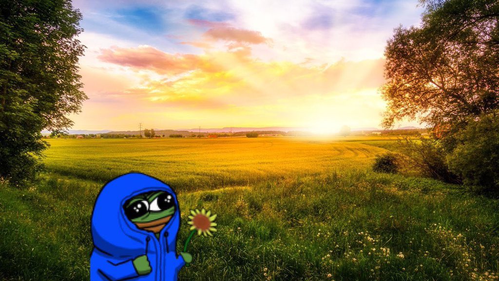 SwappFi's tweet image. SWAPP based pairs are now live for Farming!!! 🚜🚜🚜

If you haven’t already started farming, get going here dex.swapp.ee/#/farming