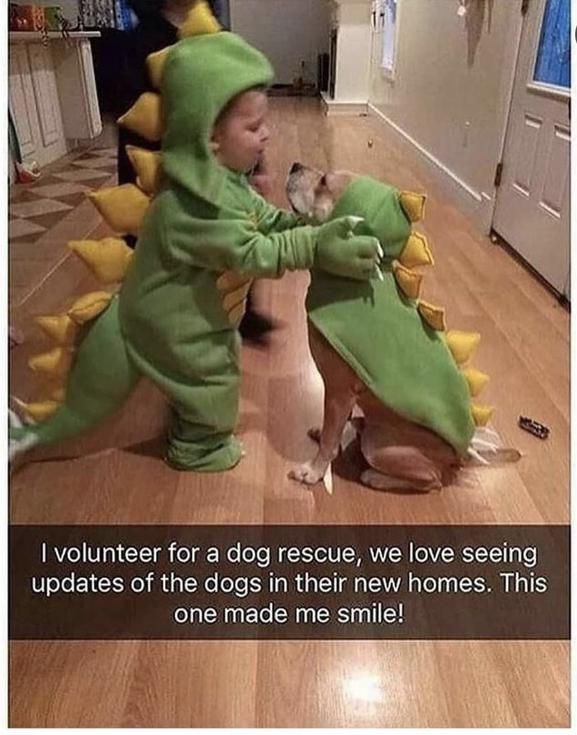 WholesomeMeme's tweet photo. https://t.co/HkknGBPxYp
