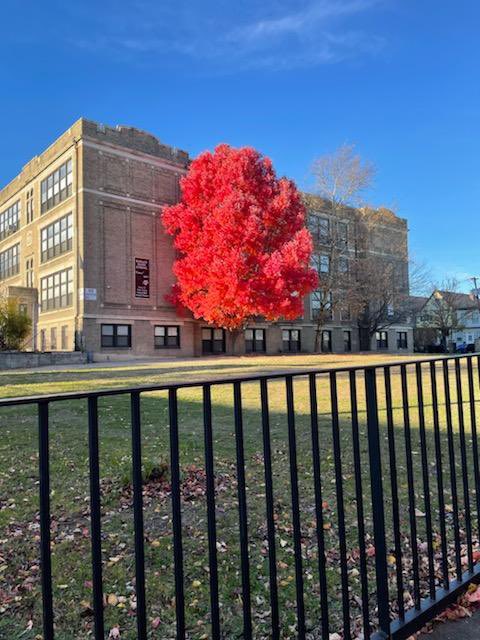 Horace Mann School tweet media