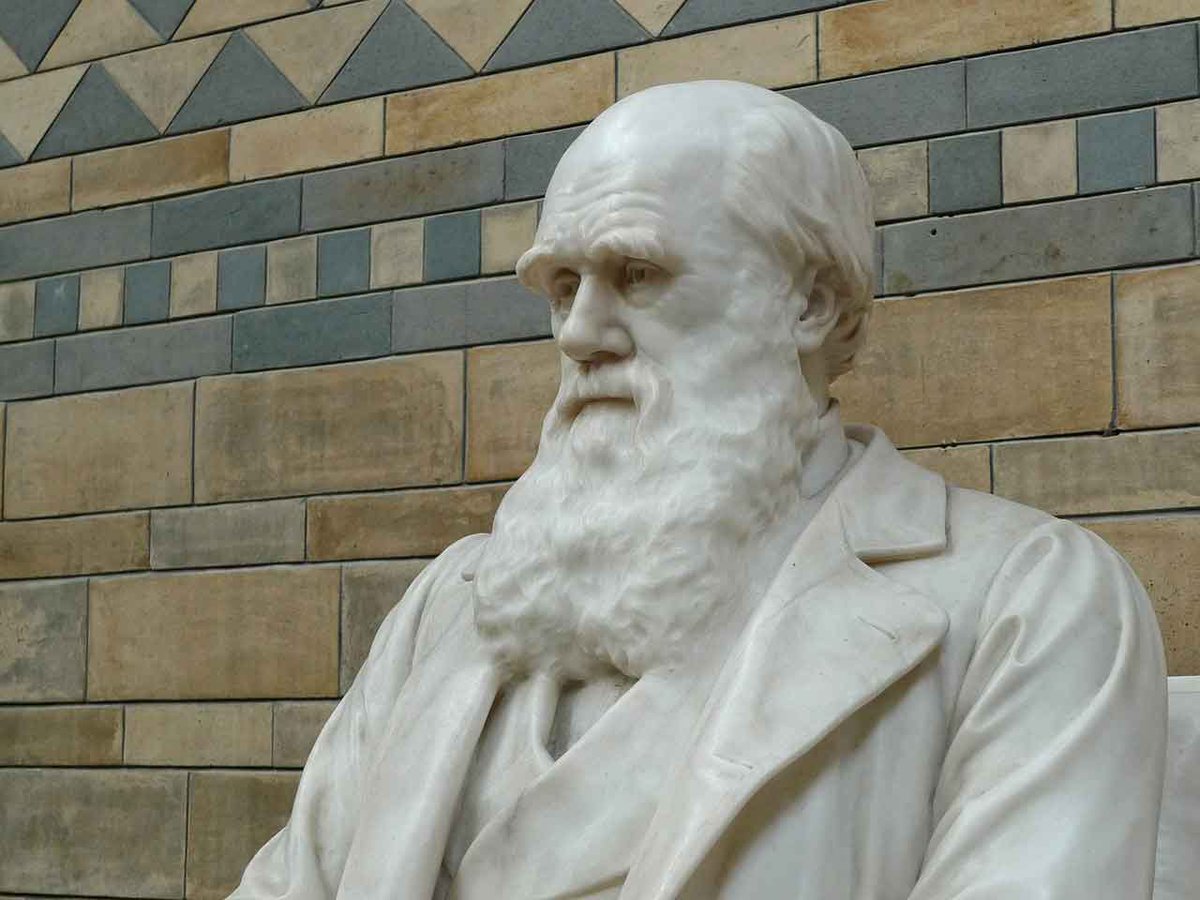 Darwin's Theory Meets DNA Testing

Helping you to find out more about your DNA and ancestry is our passion at Genomelink. We provide different reports and reviews, just upload.

#darwintheoryanddna
#dnaandancestry
#dnatesting

blog.genomelink.io/posts/darwins-…