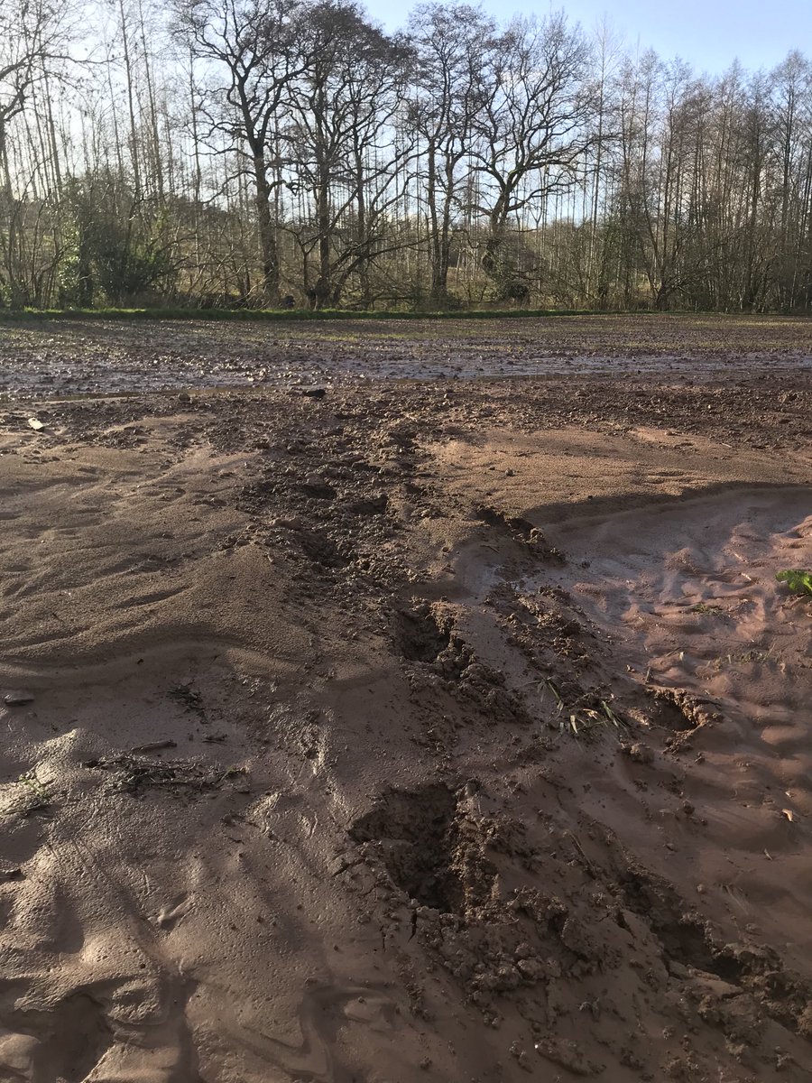 finstumpf's tweet photo. Generations have trod, have trod, have trod;
And all is seared with trade, bleared, smeared with toil,
And wears man’s smudge and shares man’s smell: the soil
Is bare now
Manley Hopkins
Remembering the soft beginning of #MarkMyPath & #PathsToWellbeing @RamblersCymru https://t.co/fGNrk8OyAy