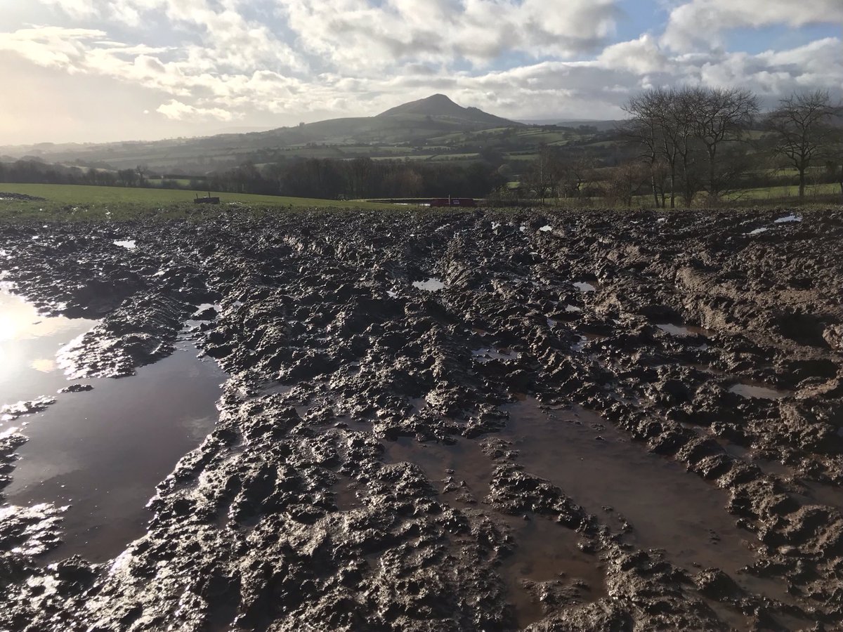 finstumpf's tweet photo. Generations have trod, have trod, have trod;
And all is seared with trade, bleared, smeared with toil,
And wears man’s smudge and shares man’s smell: the soil
Is bare now
Manley Hopkins
Remembering the soft beginning of #MarkMyPath & #PathsToWellbeing @RamblersCymru https://t.co/fGNrk8OyAy