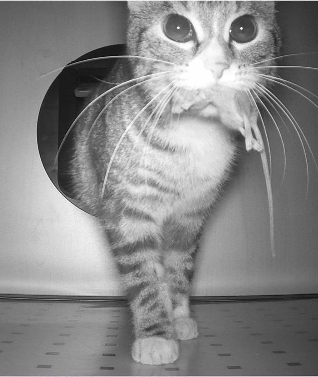 „Gib’s zu, du dachtest, ich hätte dein Nikolaus-Geschenk vergessen.“