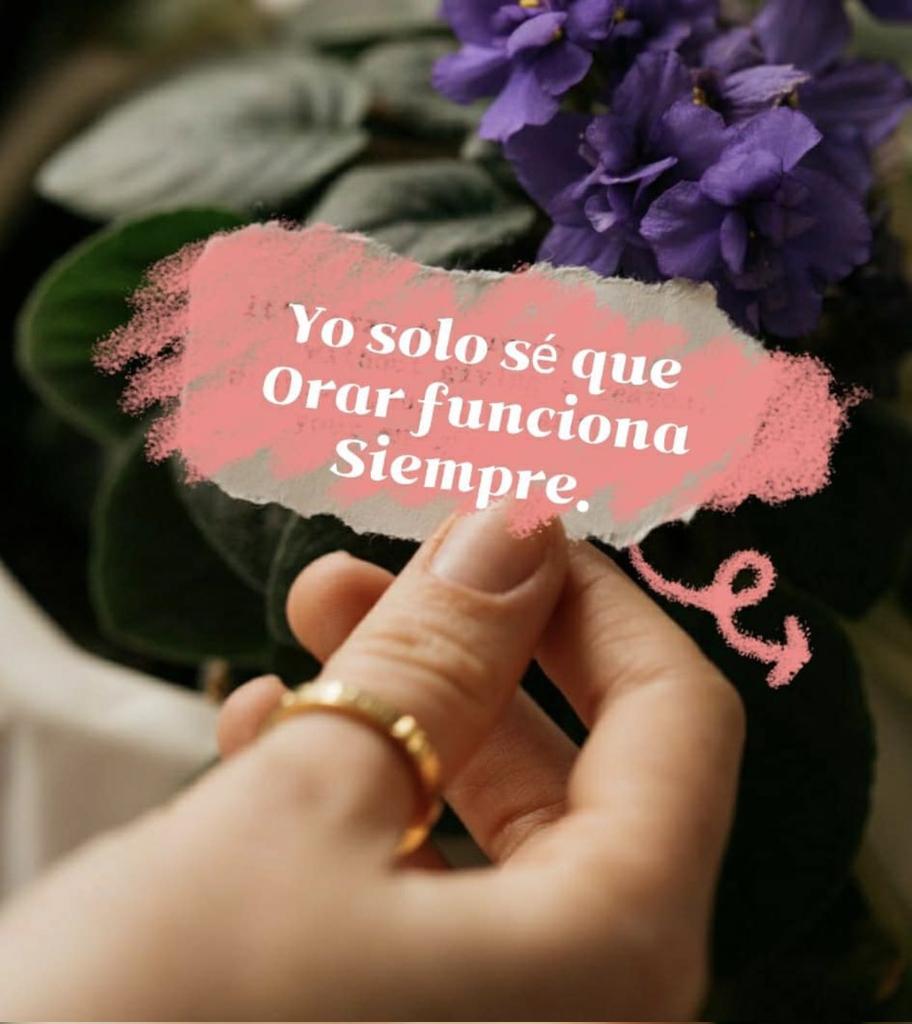 _Zuleikat's tweet photo. No se preocupen por nada. Que sus peticiones sean conocidas delante de Dios en toda oración y ruego, con acción de gracias, https://t.co/rrx9GX3KjO