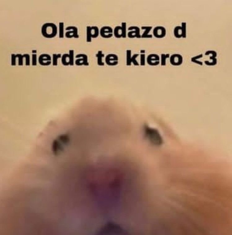 Mariaaaaa_Jesus's tweet photo. @aXoZerr
muchas gracias por el directo<3 me reí muchísisisimo, tortilla y las partidas de among us estuvieron de locoos 🤍
pasar las tardes estudiando mientras veo el stream es mi estilo de vida
#aXoZer #achoche https://t.co/VFOzrfrE7N