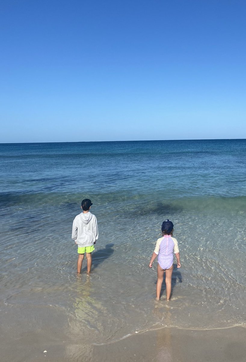 EmmaScanlan's tweet image. Eerily, shaped seaweed this morning…