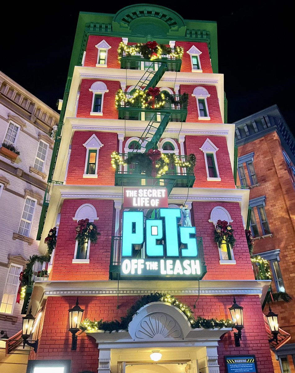 CuteDogBearPig's tweet image. The human things went to this sacred space of mine yesterday and didn’t even bring me. The betrayal is strong.