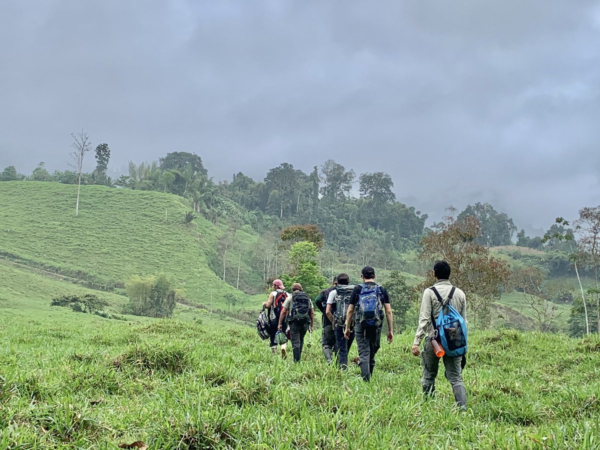 InstitutoBiosf1's tweet photo. Successfully concluded our 6th field sampling in the Cube River 💦🌴⛰ to research #intermittent streams in the #ChocóBiodiveristyHotspot 🐛🐌🦋🪲🐍🐠 #DryingRiverNetwork @DRYvER_H2020 🇪🇨 ✅ 👏🏽
😅 20 sites, 6 times, 10 months 👉 120 samplings 😱 and lots of moments 😅 https://t.co/yZFi5SfetB