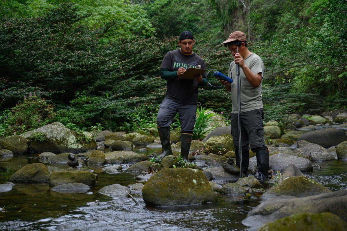 InstitutoBiosf1's tweet photo. Successfully concluded our 6th field sampling in the Cube River 💦🌴⛰ to research #intermittent streams in the #ChocóBiodiveristyHotspot 🐛🐌🦋🪲🐍🐠 #DryingRiverNetwork @DRYvER_H2020 🇪🇨 ✅ 👏🏽
😅 20 sites, 6 times, 10 months 👉 120 samplings 😱 and lots of moments 😅 https://t.co/yZFi5SfetB