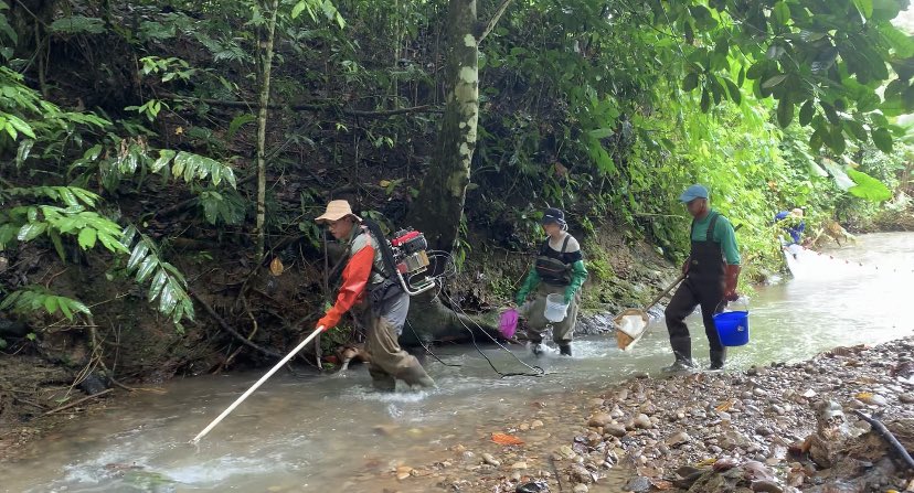 Instituto Biosfera tweet media