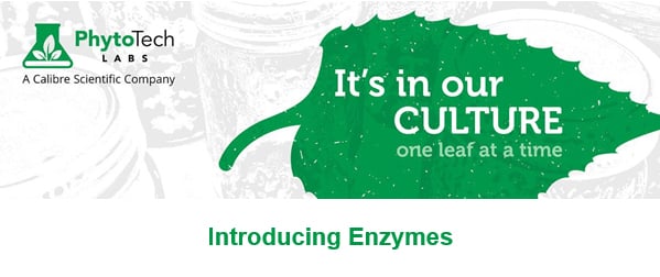 NEW from PhytoTech Labs! Enzymes for plant protoplast research &amp; production: Cellulase RS, Cellulase R-10, Macerozyme R-10, &amp; Pectolyase Y-23  hubs.ly/Q010m_QN0

#plantissueculture #planttc #plantscience #plantprotoplasts #micropropagation #crispr