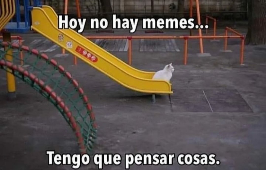 paracetamor's tweet photo. https://t.co/dXD0jEAS0F