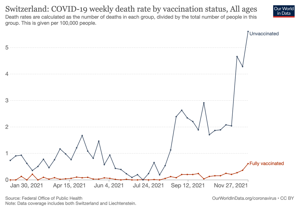 Edouard Mathieu tweet media