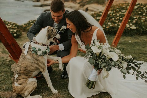 InTheDetailsWed's tweet photo. Happily fur-ever after 🐾 This sweet pooch was so excited to see his mom and dad exchange their vows! Do you love the idea of including the pups in your big day? Comment your vote below ⬇️
-
Venue: The Wedding Bowl, La Jolla 
Photo: @PhotosByBrittRako… https://t.co/l2RKx7HgSM https://t.co/T28CWFvsDJ