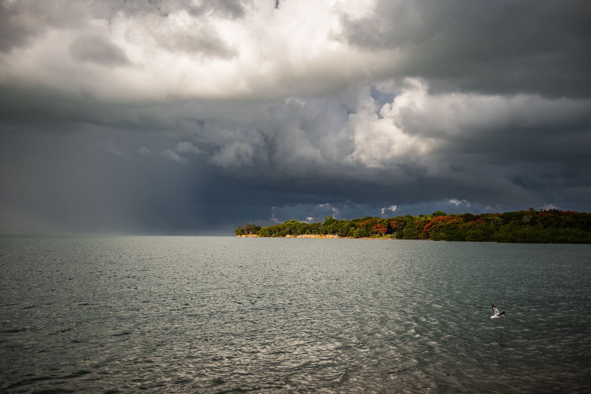 Wet season morning on Larrakia land 😍