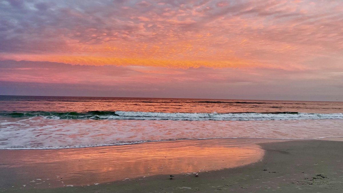 michael yardley tweet media