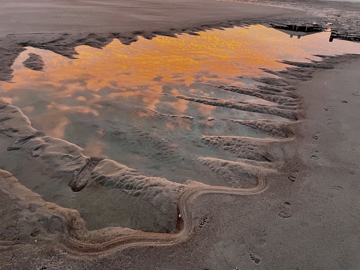 michael yardley tweet media