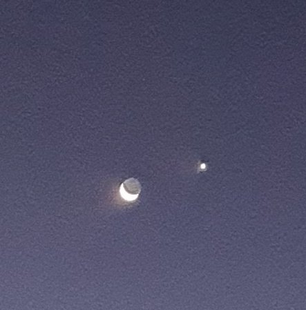 GRAZIANO PASCALE tweet media