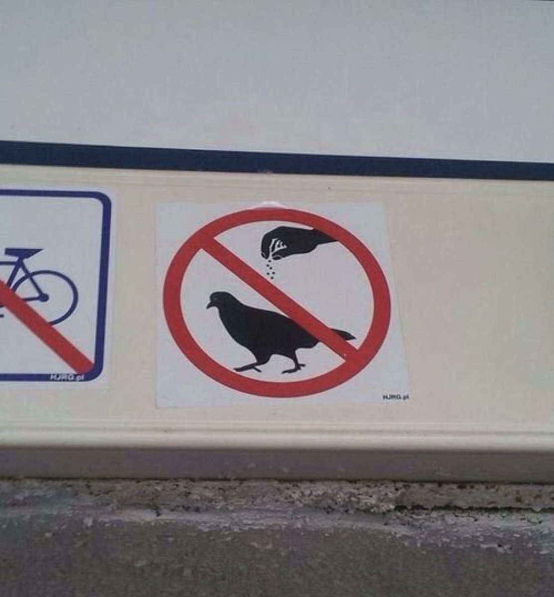 อย่าปรุงรสนกพิราบ