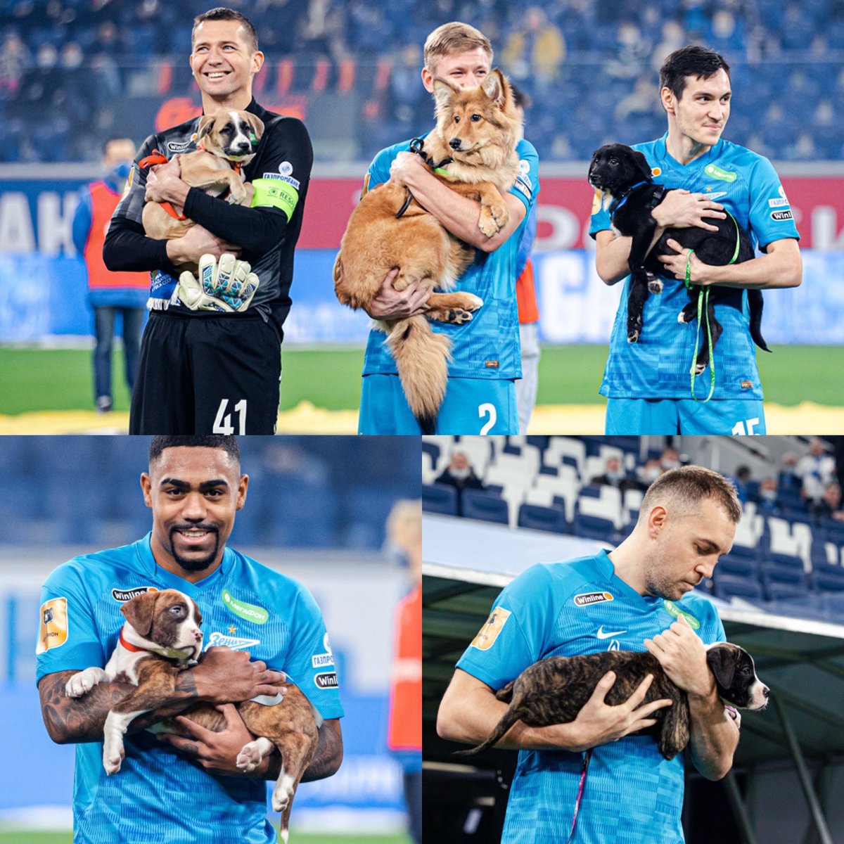 Juezcentral's tweet photo. El Zenit ruso se alió con refugios de perros abandonados y en el último partido, cada jugador salió con uno de ellos para promocionar su adopción.  Además, al anunciar la formación en los altavoces, se mencionaba el nombre y una breve reseña de cada perrito 👏🏻 https://t.co/LviJuPAkR7