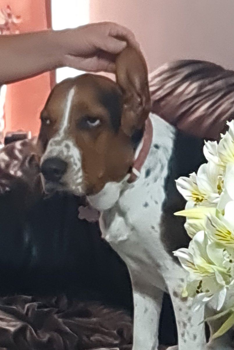 Hola! 
¿Qué se hace aqui?
Foto de Lulu.