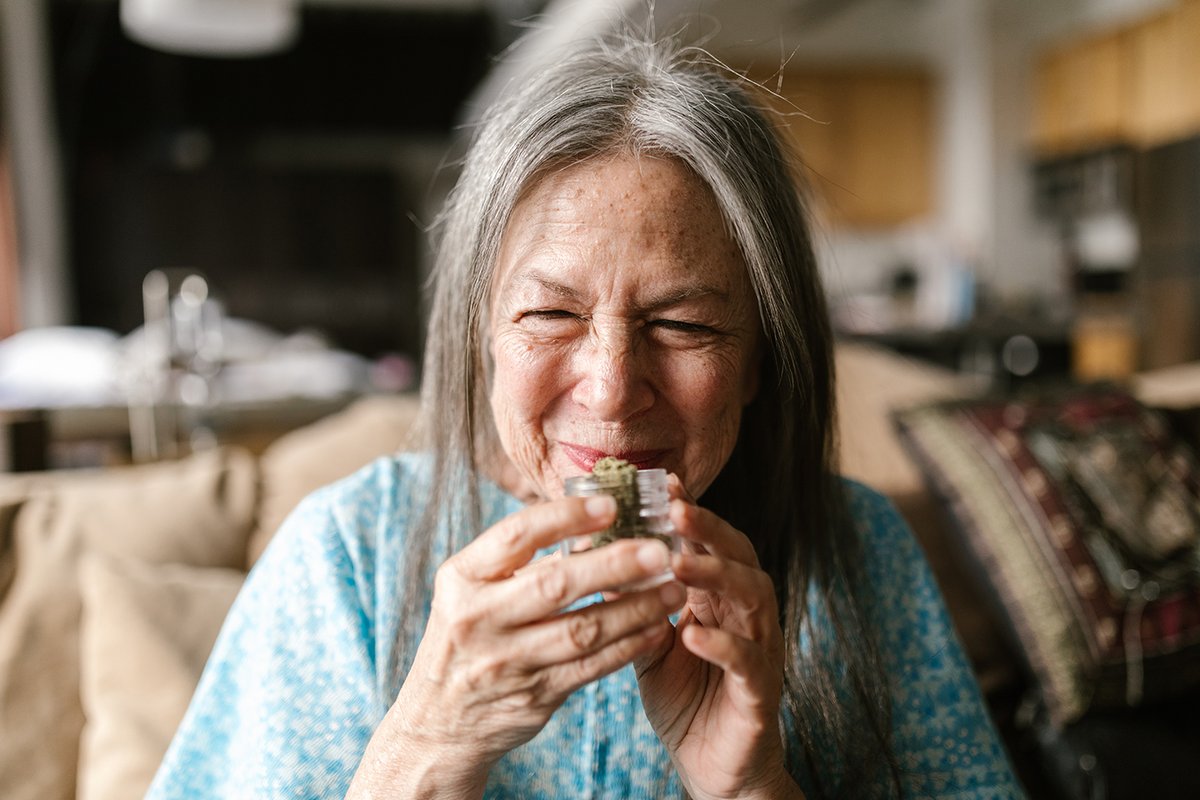 _EmeraldEssence's tweet photo. The reason for the skunky pungency of #cannabis revealed by scientists. No, this time it's not terpenes but instead Volatile Sulphur Compounds also found in other stinky plants like garlic. VSC's are known #antitumor and #cardioprotective compounds. link: https://t.co/F1roFE1YGR https://t.co/cldQ4N8VJy