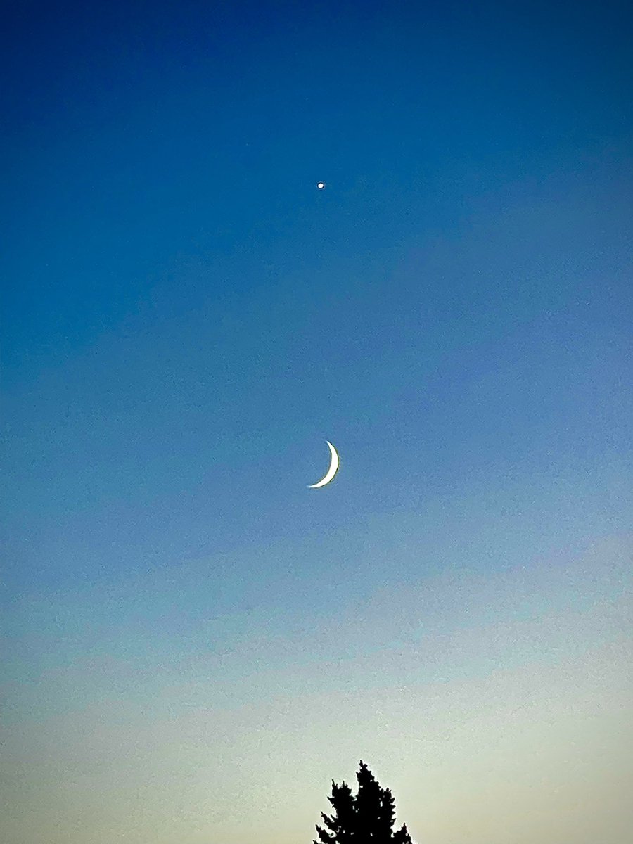 LesterCrow's tweet image. ♀☌ ☽ → ♑︎ @AstroTimeNomad @AstrologyCast @chrisbrennan7