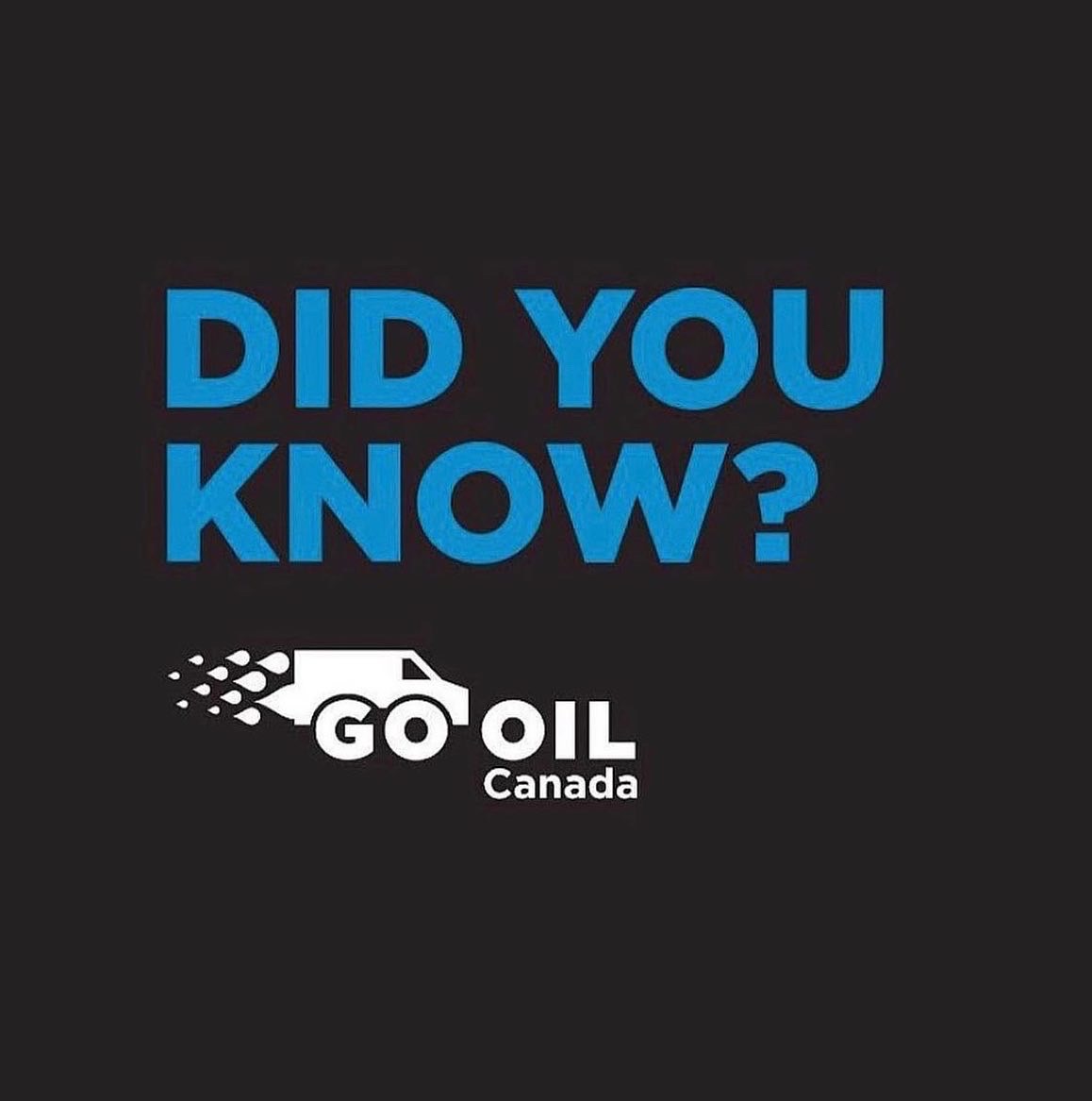 Go Oil tweet media