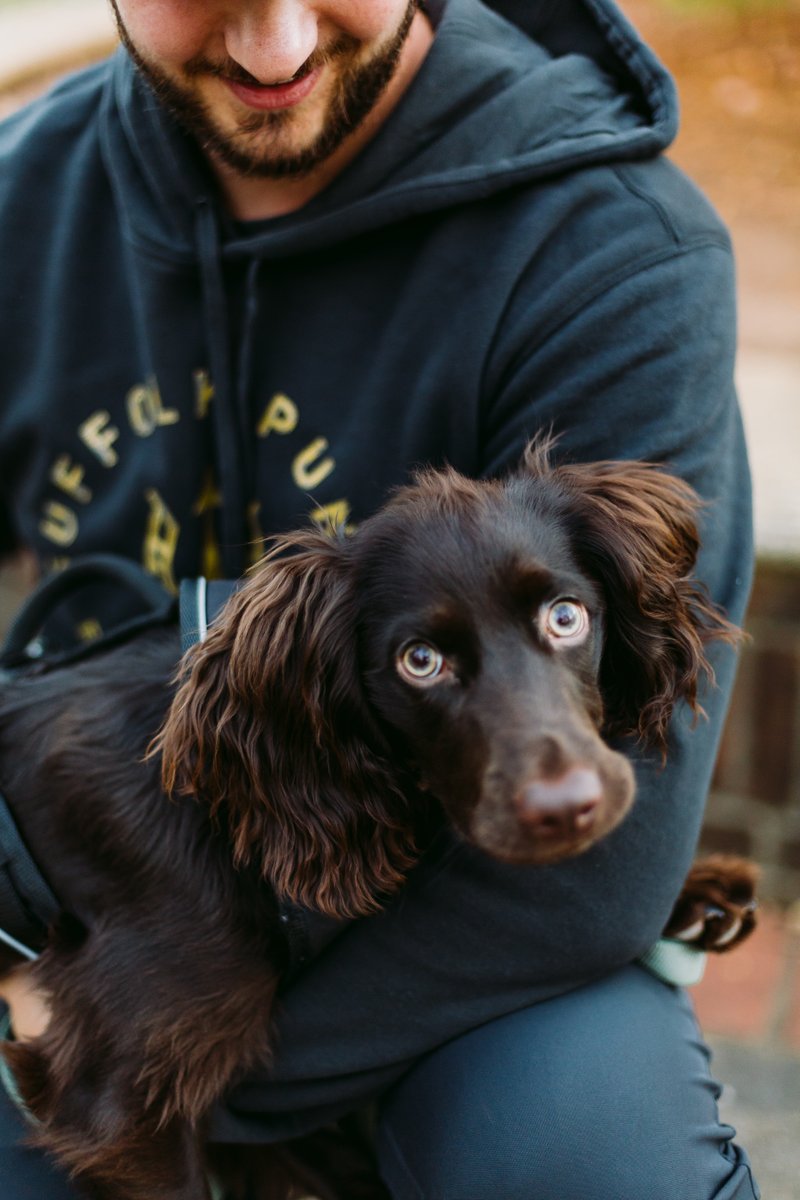 Suffolk Punch Brewing tweet media