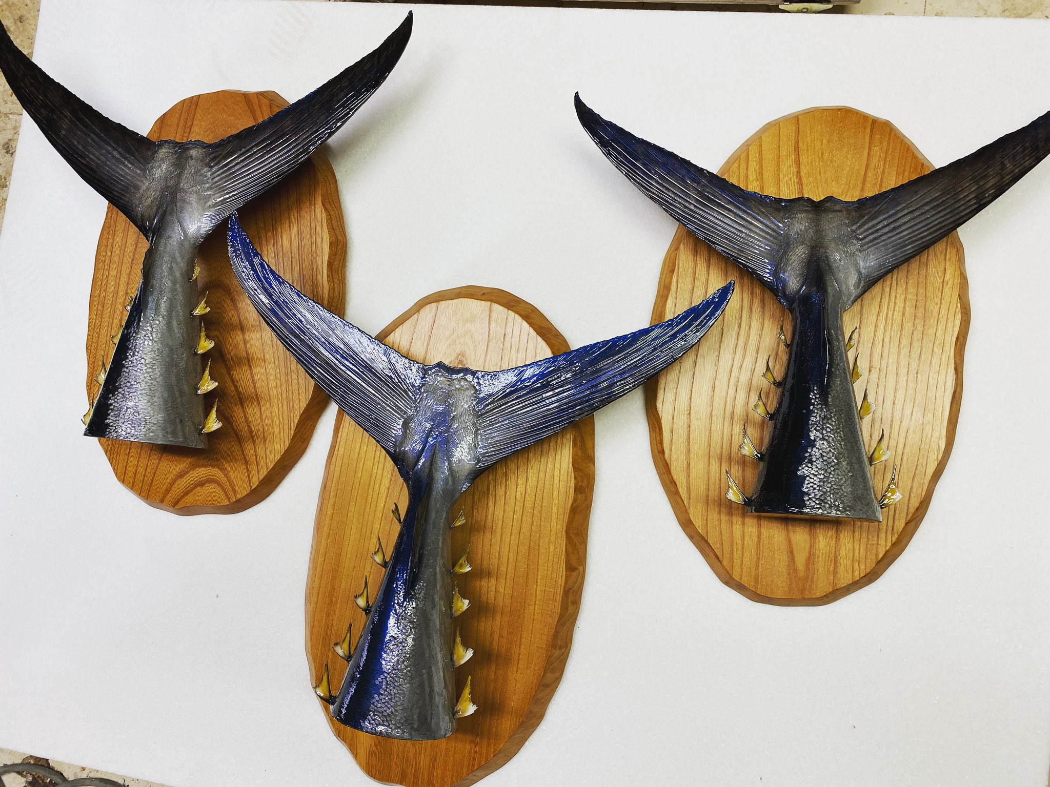 オガワアート（小川貴光）魚類剥製作家、魚人基地、魚魚展 on X