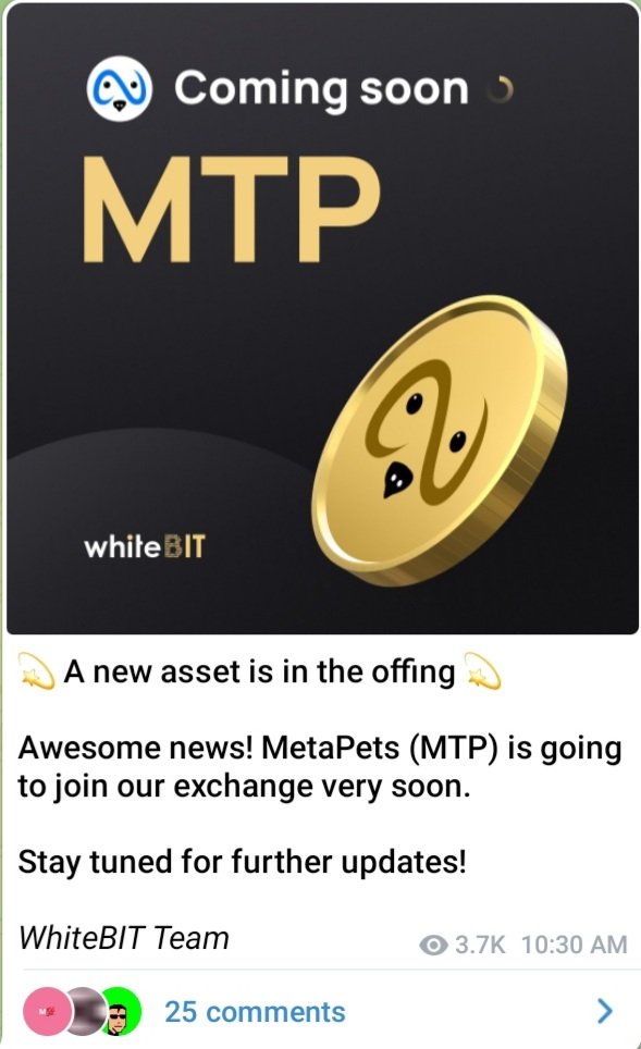 mybadomencrypto's tweet photo. Metapets listing on whitebit any day now , get in while you can ! #MetaPets #MetaPetsNFT #MetaPetsBSC #MetaPetsCommunity https://t.co/ihvVZzi40W