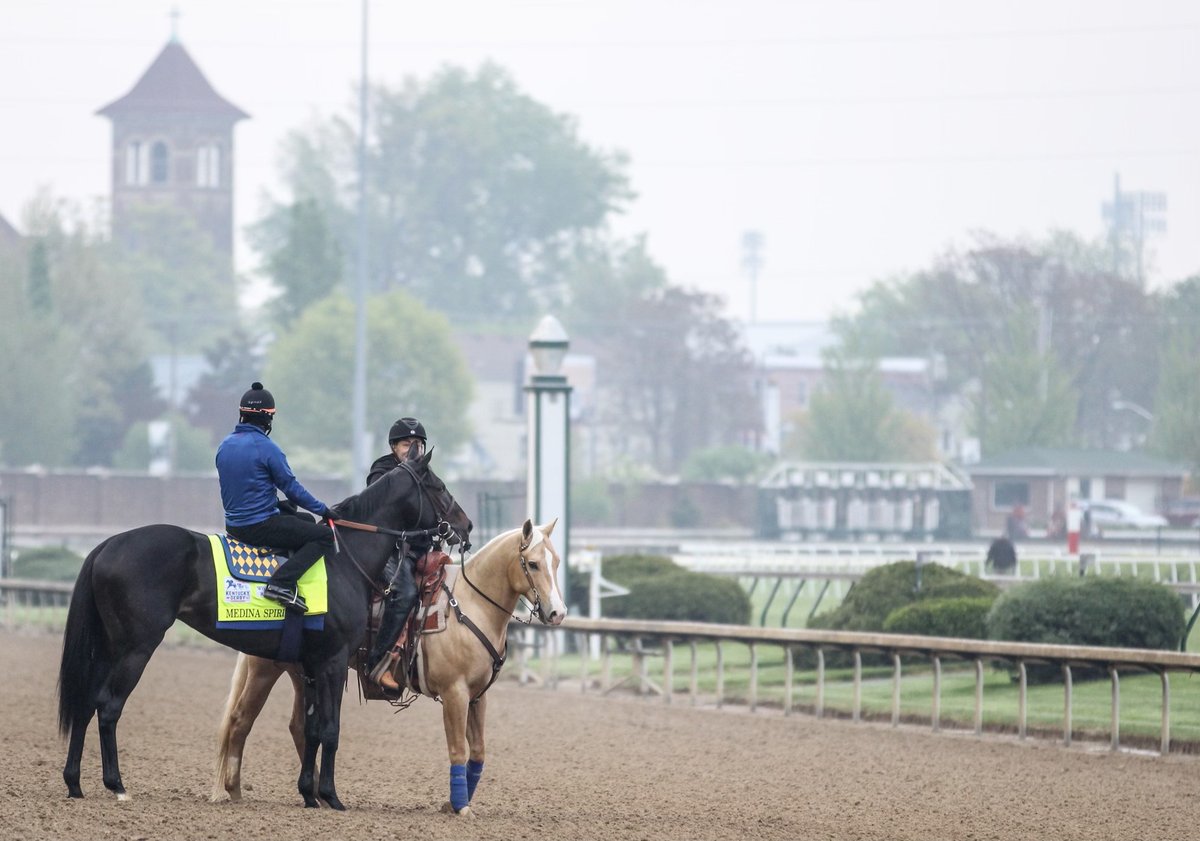 Lady and The Track tweet media