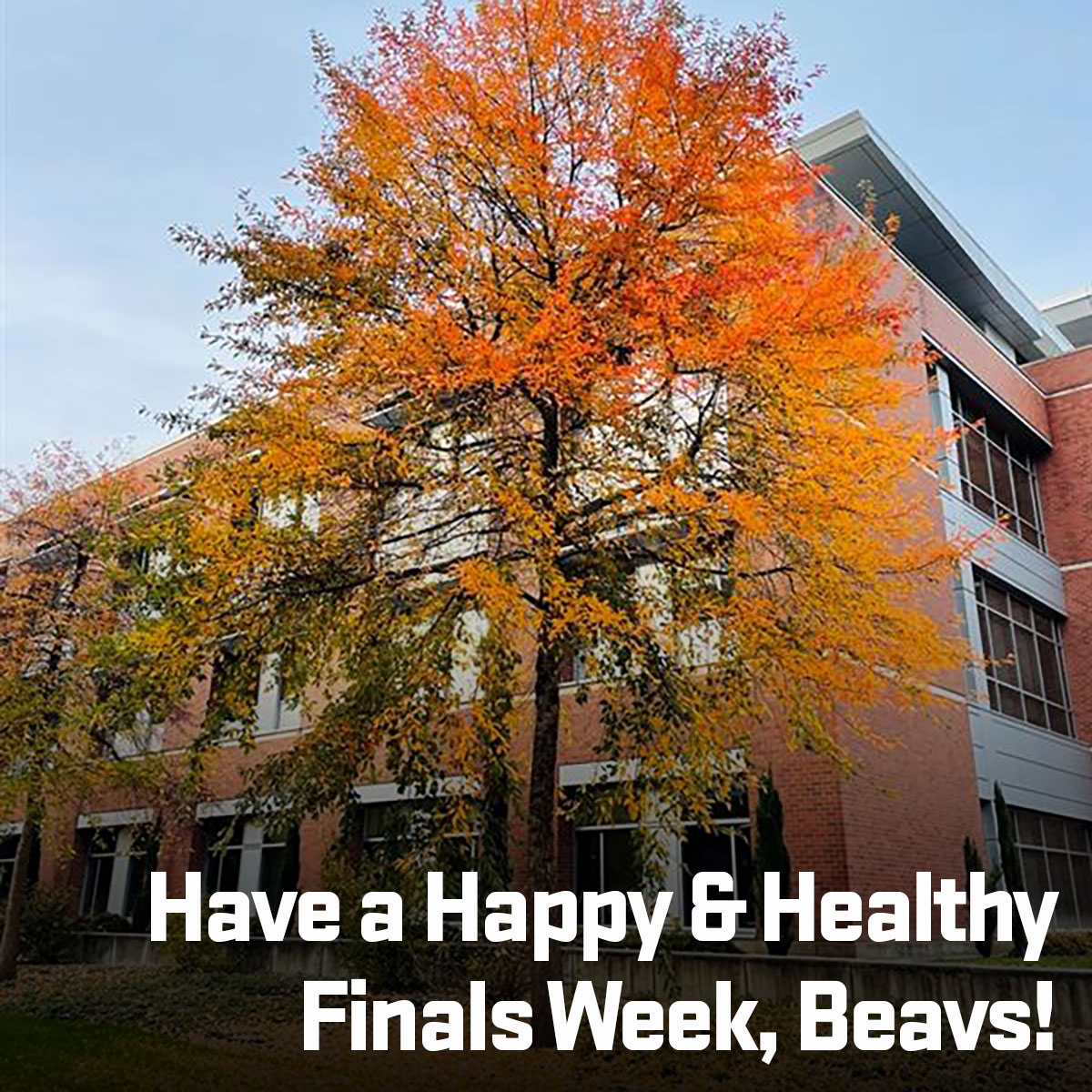 Happy Finals Week, Beavs! Remember to prioritize your health as you prepare. By taking care of yourself mentally and physically, you’ll be ready to tackle those exams. If you need support, we’re here for you! (541) 737-9355 
#gobeavs #yougotthis #healthy #happy #oregonstate