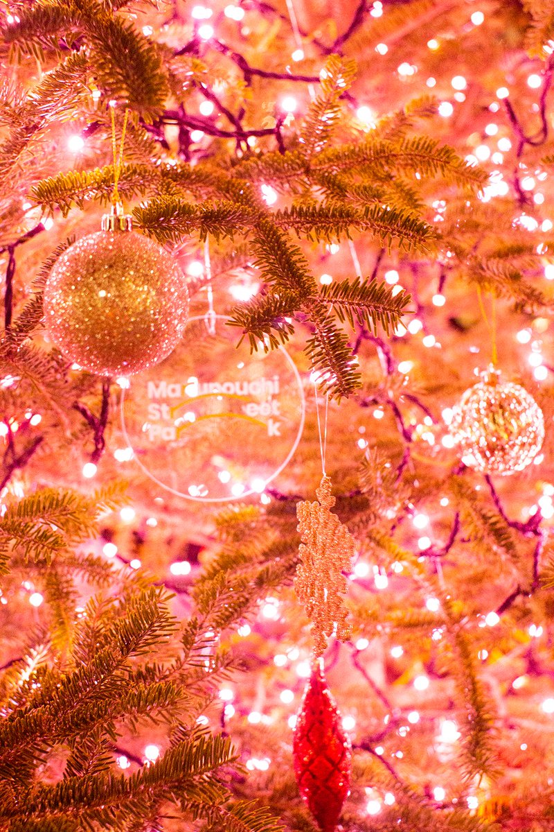 Marunouchi Street Park

In the midst of the stunning illumination, catering cars and other events lined the streets, creating a very lively atmosphere.