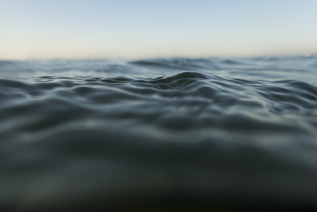 On a Floating World tweet media