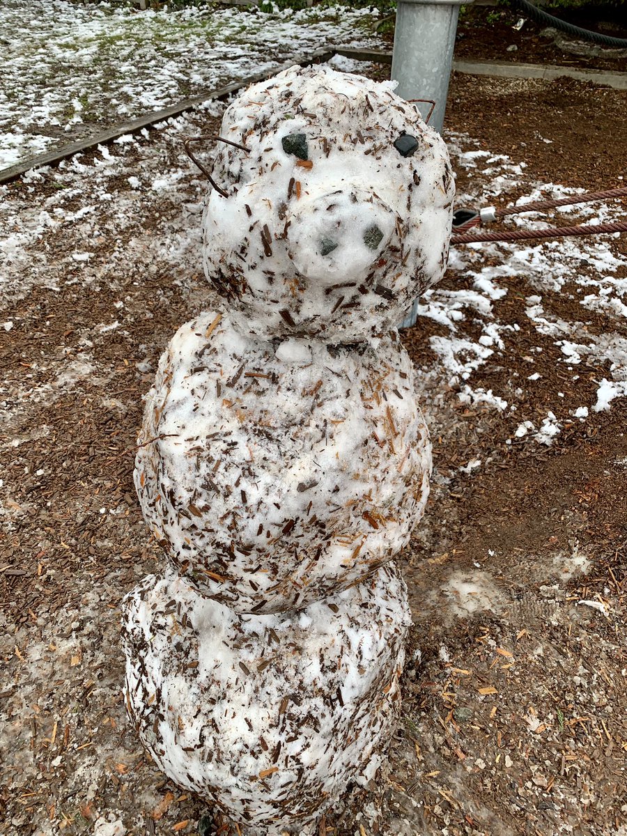 There’s always enough snow to make a snow person….or snow pig!
