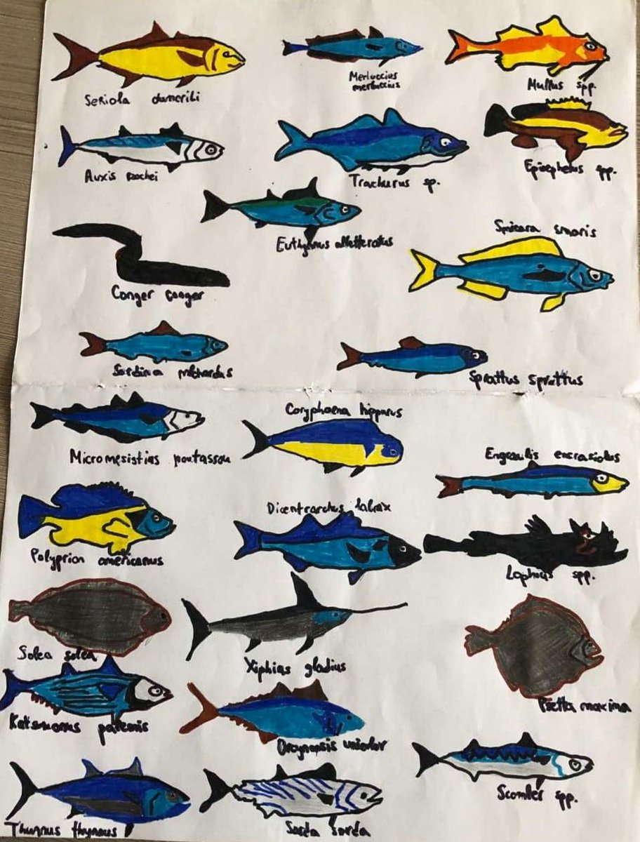 On November 28, we celebrated the 1st #Day of the Mediterranean. The students made posters with Mediterranean fish, invasive species, mollusks, echinoderms...
<a href="/UfMSecretariat/">Union for the Mediterranean</a>
our word is "nature"
<a href="/UfMSecretariat/">Union for the Mediterranean</a>
<a href="/UNCCD/">UN Land and Drought</a>
<a href="/UNBiodiversity/">UN Biodiversity</a>
<a href="/EU_ENV/">EU Environment</a>
@JUSrednjaekonomskougostiteljskaškola