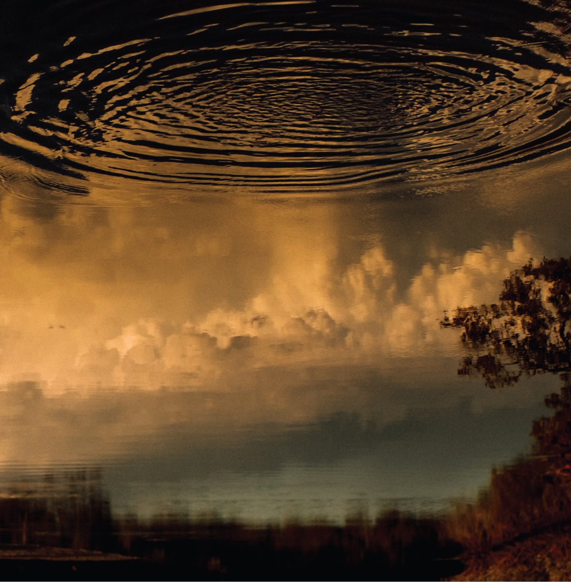 My debut album ‘My Friend Defiance’ is out now on all streaming platforms