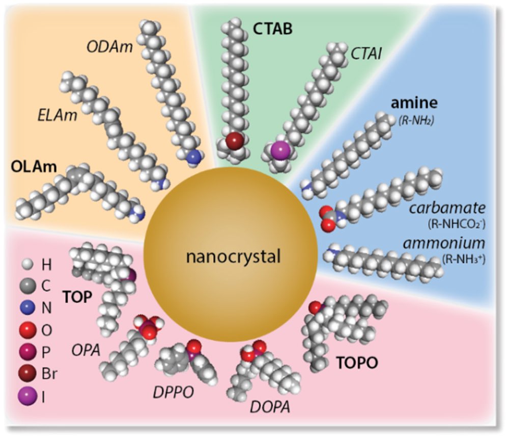 ClaridgeLab tweet media