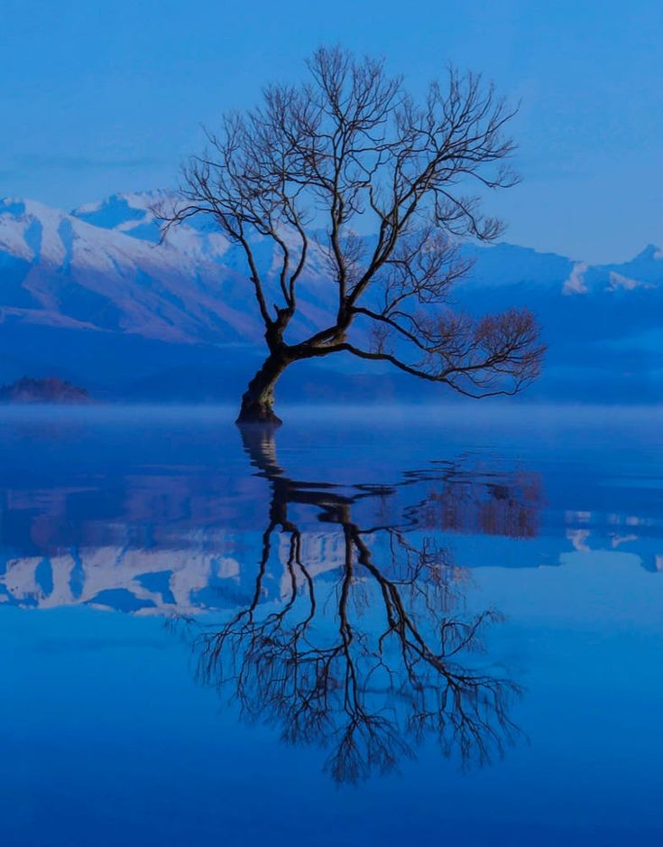 Sienna_2g's tweet photo. GOOᗪ ᗰOᖇᑎIᑎG
#NaturePhotography  #nature https://t.co/SOkzs4kf12
