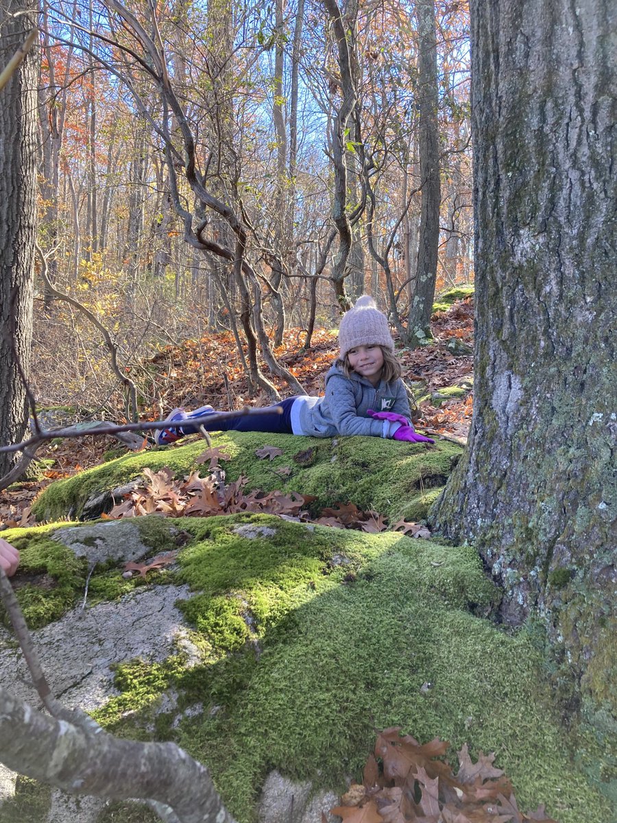 CurtScharfe's tweet photo. ⁦⁦@GuilfordLCT⁩ last weekend https://t.co/UZ2UHAogII