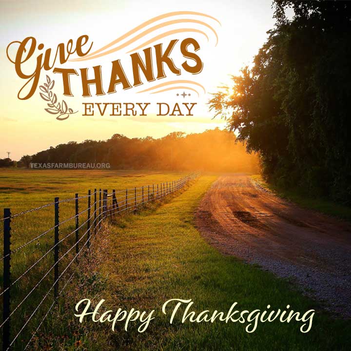 TexasFarmBureau's tweet photo. Give thanks. Every day. We hope y’all have a #HappyThanksgiving! https://t.co/mEg8VlILuM
