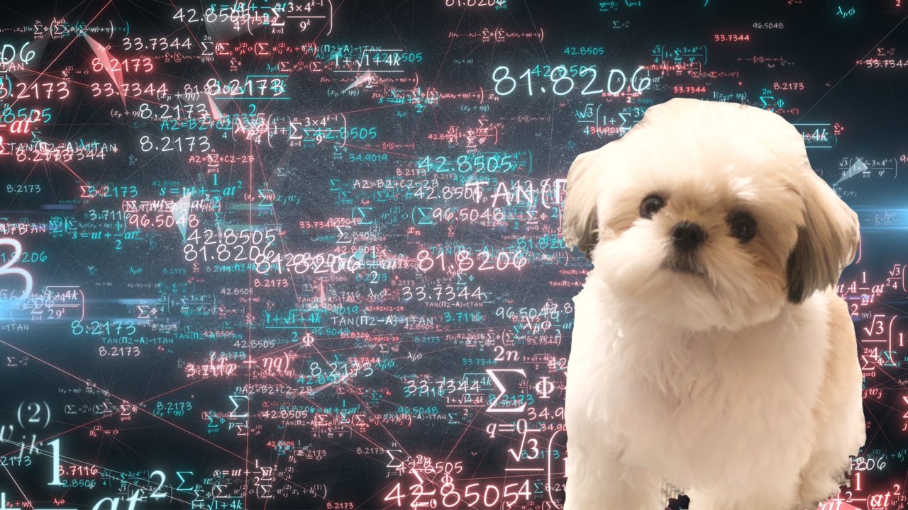 たむたむ Twitterren 雑コラで遊ばれる犬 T Co 0oniux5hfr Twitter