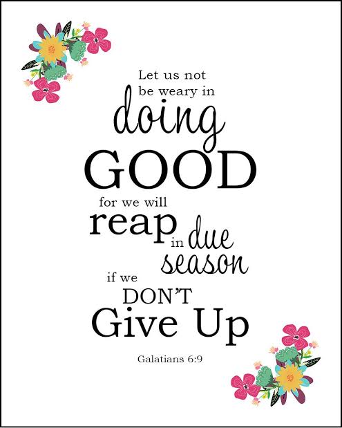 Yollzt's tweet photo. The promise here is that there will be a time when any effort of doing good will produce a visible result that will be experienced by the sower.  This will generally happen multiple times throughout life if one faithfully and consistently sows good
#nthabi #TheWifeShowmax https://t.co/2CZKRn9JKc