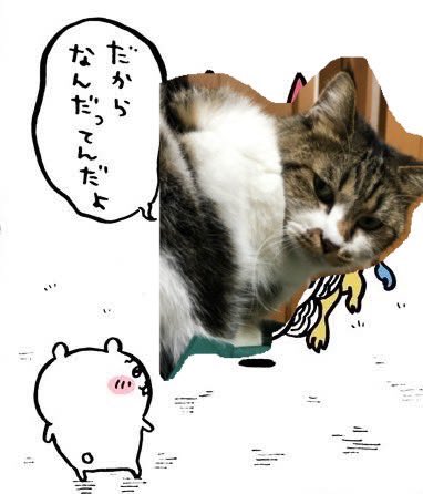 弟から雑コラ貰った 